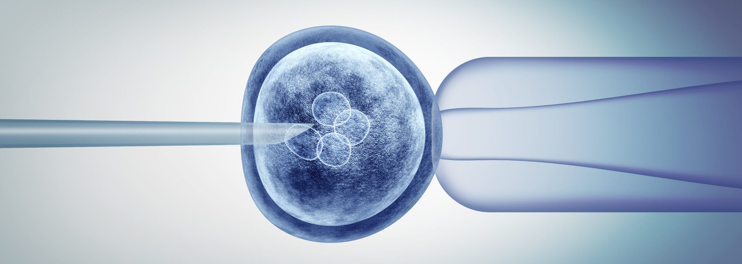Illustration of a pipette penetrating an egg cell during an IVF process, supporting fertility treatment.